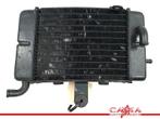 RADIATEUR Honda XL 600 V Transalp 1997-1999 (XL600V PD10), Motoren, Onderdelen | Honda, Gebruikt