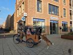 Niet elektrische Babboe Go hondenbakfiets met deurtje, Fietsen en Brommers, Fietsen | Bakfietsen, Overige merken, Ophalen of Verzenden