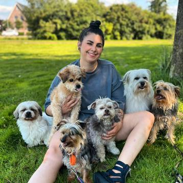 Bianca's honden uitlaatservice & meer..omgeving Fijnaart e.o beschikbaar voor biedingen