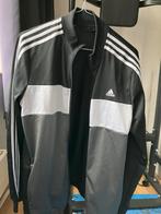 Heren Adidas (sport) vest, Gedragen, Algemeen, Ophalen of Verzenden, Adidas