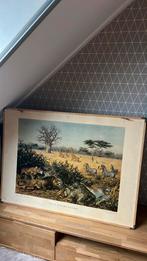 Aan de rand der Kalahari, Ophalen, Natuur en Biologie