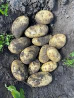 Te koop aangeboden; Frieslanders, Ophalen