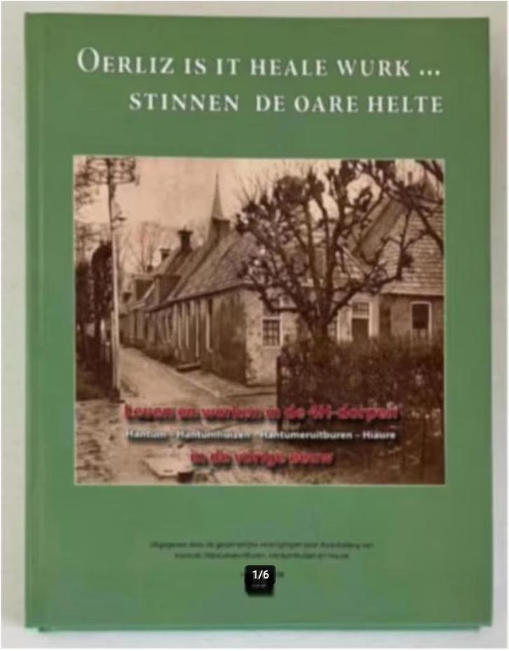 Hantum-Hantumhuizen-Hantumeruitburen-Hiaure, Boeken, Geschiedenis | Stad en Regio, Zo goed als nieuw, Ophalen of Verzenden