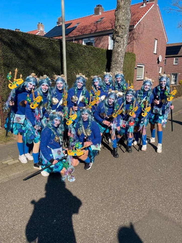 Carnavals Loopgroep "Under the Sea", Kleding | Dames, Carnavalskleding en Feestkleding, Zo goed als nieuw, Kleding, Carnaval, Maat 38/40 (M)