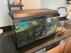Aquarium Juwel, Dieren en Toebehoren, Ophalen of Verzenden, Zo goed als nieuw, Terrarium of Paludarium
