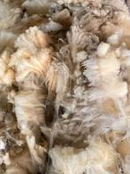 Schapenvachten, witte wol, Meerdere dieren, Schaap