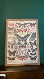 Lijst hout met poster vlinders papillons vintage, Ophalen