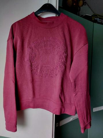 Trui D-zine Maat 164/170 beschikbaar voor biedingen