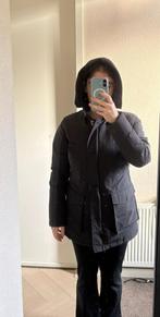 Airforce dames winterjas, Ophalen of Verzenden, Zo goed als nieuw, Maat 38/40 (M), Zwart