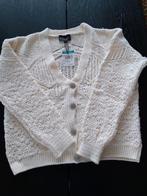 Vest L nieuw., Maat 52/54 (L), Overige kleuren, Nieuw, Ophalen of Verzenden