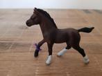 Schleich 13762 Arabier veulen paard, Ophalen of Verzenden, Zo goed als nieuw
