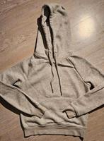 Cropped sweater hoodie Maat XS, Kleding | Dames, Truien en Vesten, Ophalen of Verzenden, Zo goed als nieuw, Maat 36 (S)
