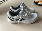 Asics padelschoenen Nieuw 42,5 eu, Ophalen of Verzenden, Nieuw, Padelschoenen