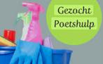 Gezocht: schoonmaakster regio Drunen, Overige vormen