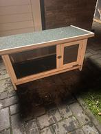 Konijnen nachthok, Dieren en Toebehoren, Konijnen, Vrouwelijk, Middelgroot