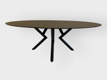 Ovale eettafel donker grijs eiken 220x120 beschikbaar voor biedingen