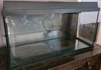 Aquarium Juwel 110 liter, Dieren en Toebehoren, Ophalen of Verzenden, Gebruikt, Leeg aquarium