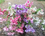 PRACHTIGE FUCHSIA KUNST TAK (BELLENPLANT), Ophalen of Verzenden, Nieuw