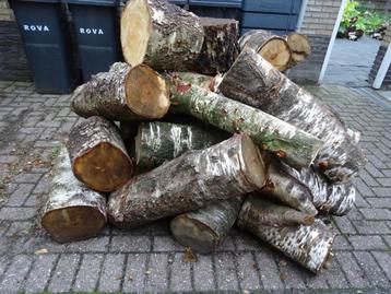 Partij berkenhout haardhout kachelhout beschikbaar voor biedingen