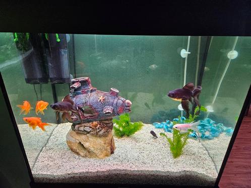 Juwel Lido 120L incl. Onderkast, Dieren en Toebehoren, Vissen | Aquaria en Toebehoren, Gebruikt, Leeg aquarium, Ophalen