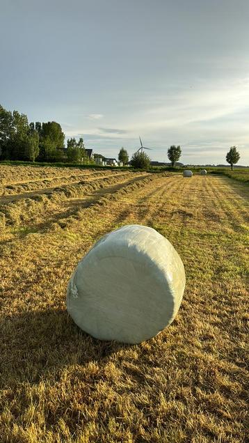 Midi balen 1e snee beschikbaar voor biedingen