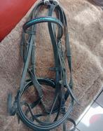 Zwart hoofdstel x full, Dieren en Toebehoren, Paarden en Pony's | Hoofdstellen en Tuigage, Ophalen of Verzenden, Gebruikt, Dressuur