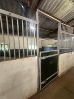 Grote stal merrie/veulen, Dieren en Toebehoren, Stalling en Weidegang, Weidegang, 2 of 3 paarden of pony's