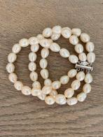 Nieuwe parelarmband van Shenza, Sieraden, Tassen en Uiterlijk, Armbanden, Ophalen of Verzenden, Nieuw