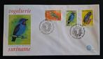 Suriname FDC enveloppe E014B Vogelserie 1977, Postzegels en Munten, Postzegels | Eerstedagenveloppen, Ophalen of Verzenden, Onbeschreven