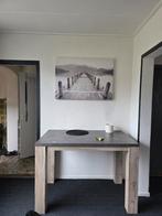 Werkbank hout/kunstof., Doe-het-zelf en Verbouw, Werkbanken, Ophalen, Zo goed als nieuw, Bankschroef