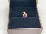 Kettinghanger goud met diamanten en robijn, Ophalen of Verzenden, Zo goed als nieuw, Goud, Overige voorstellingen