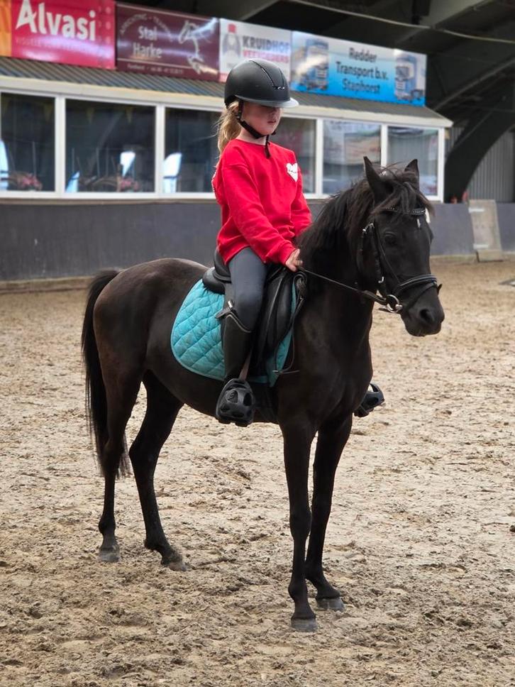 Lieve A- pony 4 jaar, Dieren en Toebehoren, Pony's, Merrie, Zadelmak, A pony (tot 1.17m), 3 tot 6 jaar