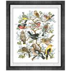 Borduurpakket boom met vogels 45 x 54 cm 14CT Aida, Hobby en Vrije tijd, Borduren en Borduurmachines, Ophalen of Verzenden, Nieuw