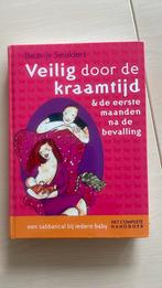 Beatrijs Smulders - Veilig door de kraamtijd, Boeken, Zwangerschap en Opvoeding, Ophalen of Verzenden, Beatrijs Smulders, Zo goed als nieuw