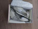 Trouwschoenen dames, Rainbow, Overige kleuren, Schoenen, Ophalen of Verzenden