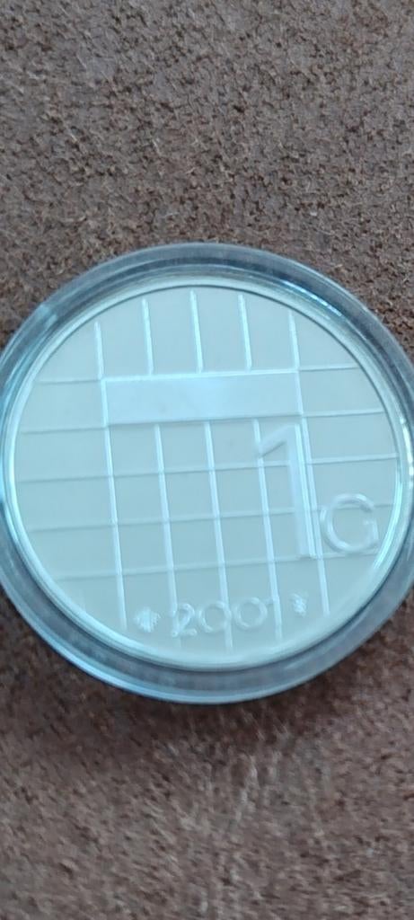 Zilveren 1 Gulden 2001 Beatrix, Postzegels en Munten, Munten | Nederland, 1 gulden, Koningin Beatrix, Zilver, Ophalen of Verzenden