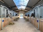 Zadelmak maken / training / africhting / doorrijden, Diensten en Vakmensen, Dieren | Paarden | Verzorging, Oppas en Les