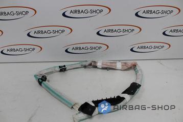 Seat Arona Hemel airbag dakairbag Rechts 6F9880742G beschikbaar voor biedingen