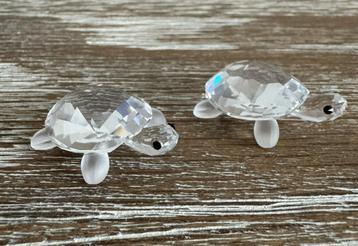 Swarovski 220960 2 Babyschildpadden beschikbaar voor biedingen