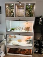 Osb3 terrarium RepHouSZ. Ook maatwerk, Dieren en Toebehoren, Ophalen, Nieuw, Terrarium of Paludarium