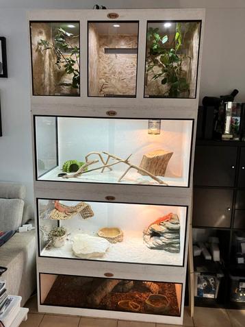 Osb3 terrarium RepHouSZ. Ook maatwerk  beschikbaar voor biedingen