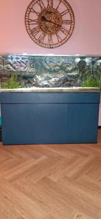 Prachtig op maat gemaakt Optiwhite aquarium, Ophalen, Zo goed als nieuw, Leeg aquarium