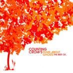 Counting Crows (2003) Films about Ghosts (the Best of..), Cd's en Dvd's, Cd's | Verzamelalbums, Pop, Gebruikt, Ophalen of Verzenden