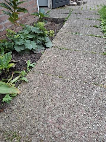 Grindtegels voor tuinpad of terras beschikbaar voor biedingen