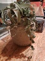 Mooie opgemaakte bloempot, Ophalen, Gebruikt, Overige kleuren, Minder dan 50 cm