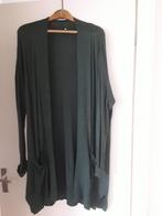 Vest XL Hema, Kleding | Dames, Grote Maten, Trui of Vest, Ophalen of Verzenden, Zo goed als nieuw, Hema