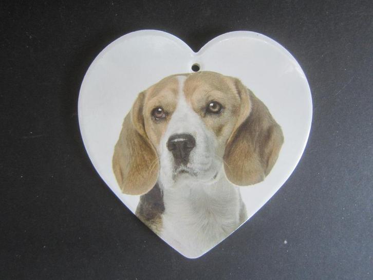urn plaquette gedenkteken overlijden grafsteen honden beagle, Dieren en Toebehoren, Honden-accessoires, Zo goed als nieuw, Ophalen of Verzenden