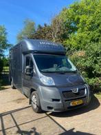 Peugeot Equi-Trek paardenwagen, Dieren en Toebehoren, Ophalen, Gebruikt, Polyester, Overige typen