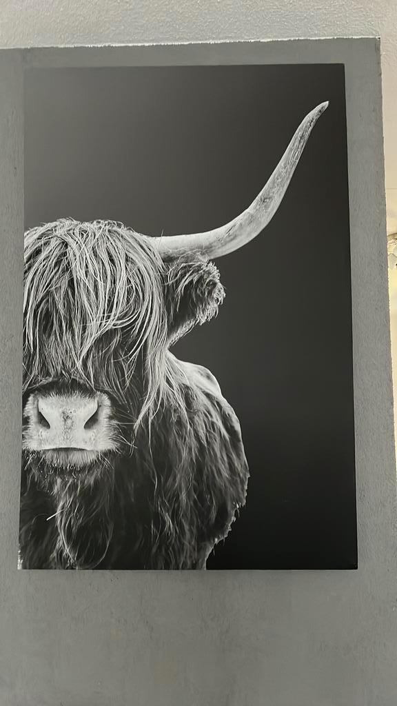 Canvas schilderij - mooie blikvanger, Antiek en Kunst, Kunst | Schilderijen | Modern, Ophalen