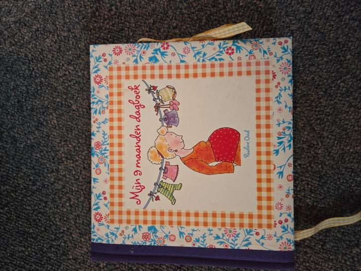 Pauline Oud - Mijn 9 maanden dagboek, Boeken, Overige Boeken, Zo goed als nieuw, Ophalen of Verzenden